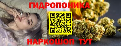 крисы Будённовск