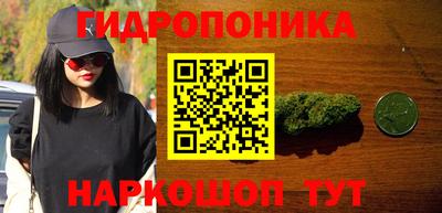 крисы Будённовск